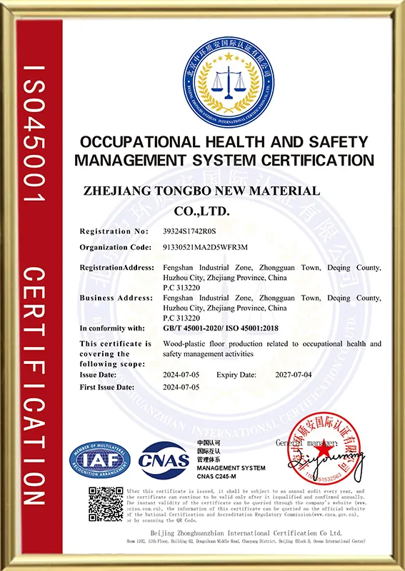 ISO45001