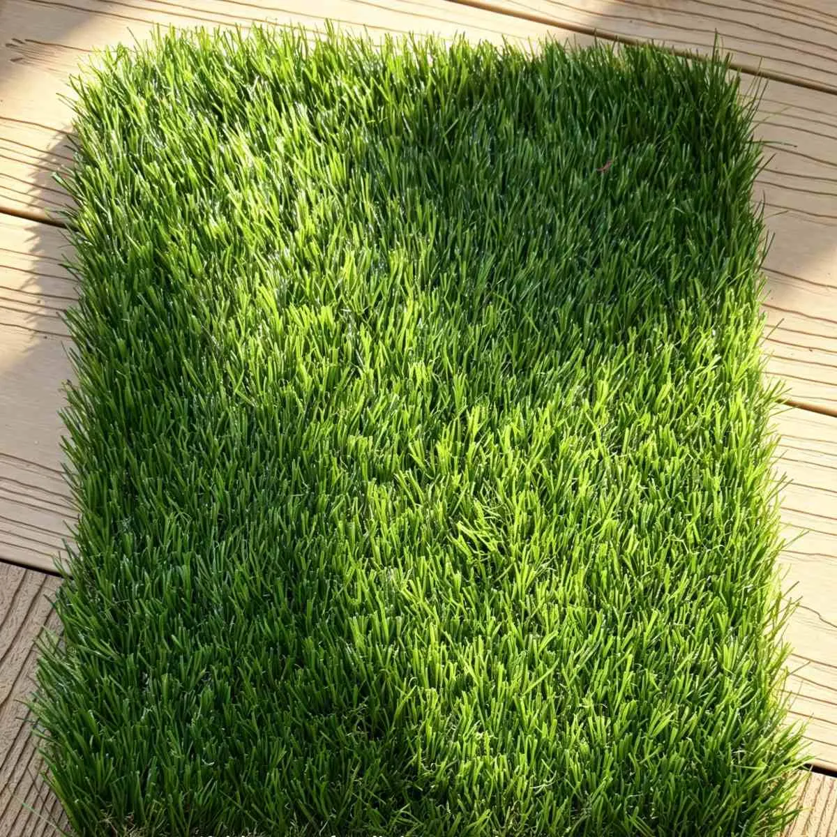 Military Green Turf