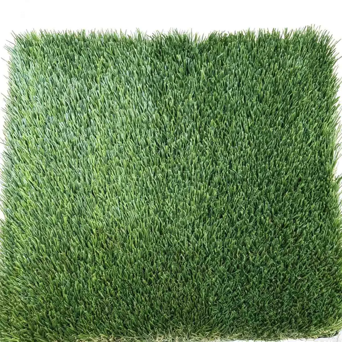 Casual Landscap Turf