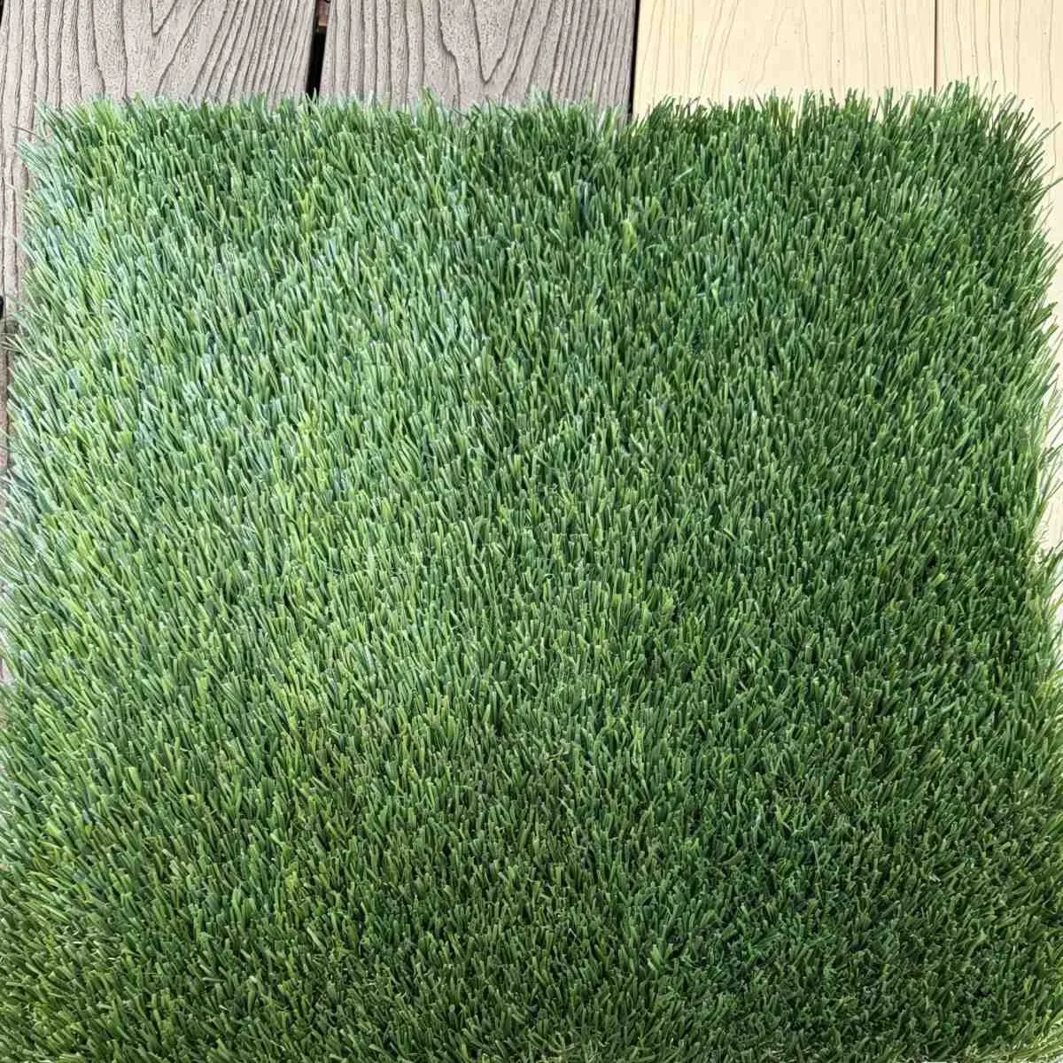 Casual Landscap Turf