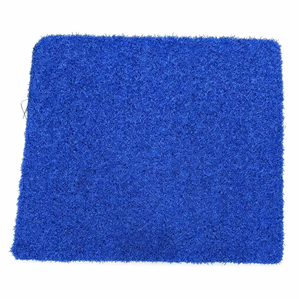 Colorful Blue Sport Turf