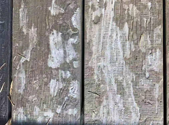 Tired of that weird white substance popping up on your WPC deck after a few months outdoors?&nbsp;